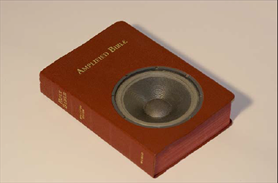 Amplified Bible